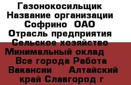 Газонокосильщик › Название организации ­ Софрино, ОАО › Отрасль предприятия ­ Сельское хозяйство › Минимальный оклад ­ 1 - Все города Работа » Вакансии   . Алтайский край,Славгород г.